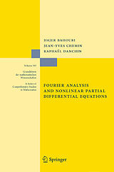 Fester Einband Fourier Analysis and Nonlinear Partial Differential Equations von Hajer Bahouri, Raphaël Danchin, Jean-Yves Chemin