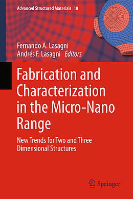 Fester Einband Fabrication and Characterization in the Micro-Nano Range von 