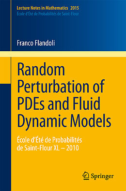E-Book (pdf) Random Perturbation of PDEs and Fluid Dynamic Models von Franco Flandoli