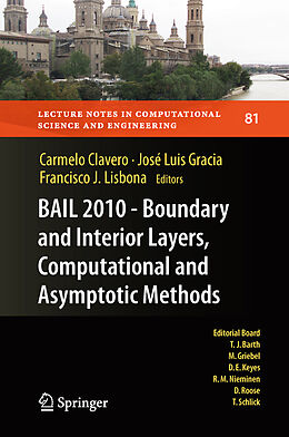 E-Book (pdf) BAIL 2010 - Boundary and Interior Layers, Computational and Asymptotic Methods von 