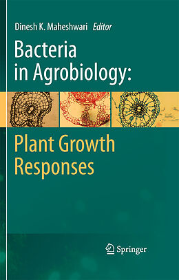 Fester Einband Bacteria in Agrobiology: Plant Growth Responses von 
