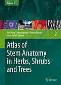 E-Book (pdf) Atlas of Stem Anatomy in Herbs, Shrubs and Trees von Fritz Hans Schweingruber, Annett Börner, Ernst-Detlef Schulze