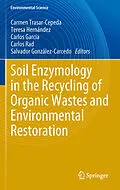 E-Book (pdf) Soil Enzymology in the Recycling of Organic Wastes and Environmental Restoration von Carmen Trasar-Cepeda, Teresa Hernández, Carlos García