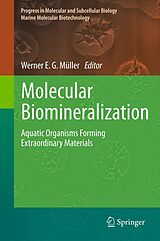 eBook (pdf) Molecular Biomineralization de Werner E. G. Müller