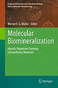 E-Book (pdf) Molecular Biomineralization von Werner E. G. Müller