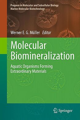 eBook (pdf) Molecular Biomineralization de Werner E. G. Müller