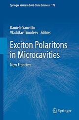 eBook (pdf) Exciton Polaritons in Microcavities de Daniele Sanvitto, Vladislav Timofeev