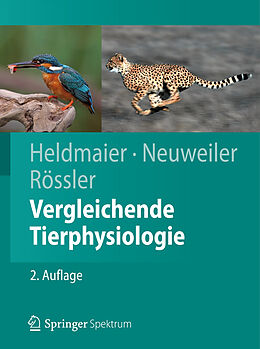 Fester Einband Vergleichende Tierphysiologie von Gerhard Heldmaier, Gerhard Neuweiler, Wolfgang Rössler