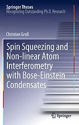 Fester Einband Spin Squeezing and Non-linear Atom Interferometry with Bose-Einstein Condensates von Christian Groß
