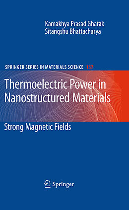 Kartonierter Einband Thermoelectric Power in Nanostructured Materials von Sitangshu Bhattacharya, Kamakhya Prasad Ghatak