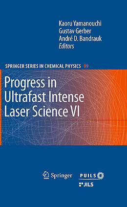 Kartonierter Einband Progress in Ultrafast Intense Laser Science VI von 