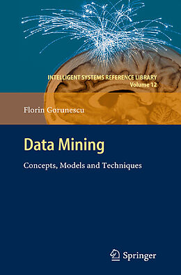 Kartonierter Einband Data Mining von Florin Gorunescu