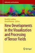 E-Book (pdf) New Developments in the Visualization and Processing of Tensor Fields von David H. Laidlaw, Anna Vilanova