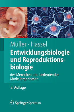 E-Book (pdf) Entwicklungsbiologie und Reproduktionsbiologie des Menschen und bedeutender Modellorganismen von Werner A. Müller, Monika Hassel