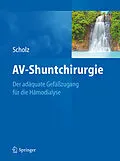 E-Book (pdf) AV-Shuntchirurgie von Hans Scholz
