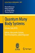 E-Book (pdf) Quantum Many Body Systems von Vincent Rivasseau, Robert Seiringer, Jan Philip Solovej