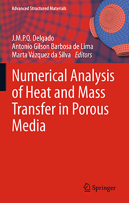 Fester Einband Numerical Analysis of Heat and Mass Transfer in Porous Media von 