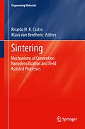 E-Book (pdf) Sintering von Ricardo Castro, Klaus van Benthem