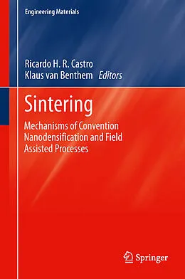 E-Book (pdf) Sintering von Ricardo Castro, Klaus van Benthem