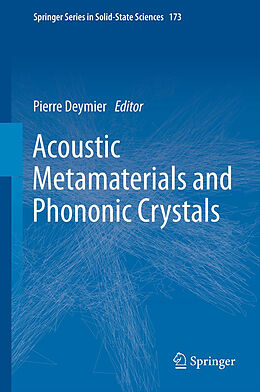 Fester Einband Acoustic Metamaterials and Phononic Crystals von 