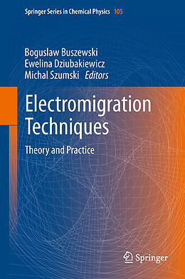 E-Book (pdf) Electromigration Techniques von Boguslaw Buszewski, Ewelina Dziubakiewicz, Michal Szumski