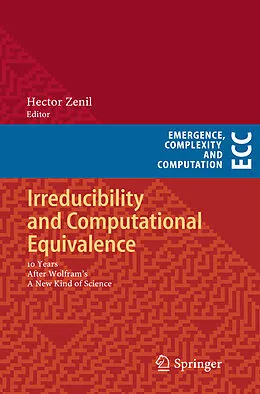 E-Book (pdf) Irreducibility and Computational Equivalence von Hector Zenil