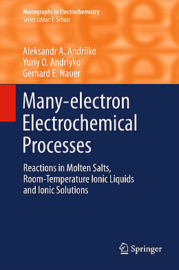 Livre Relié Many-electron Electrochemical Processes de Aleksandr A. Andriiko, Gerhard E. Nauer, Yuriy O Andriyko