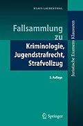 E-Book (pdf) Fallsammlung zu Kriminologie, Jugendstrafrecht, Strafvollzug von Klaus Laubenthal