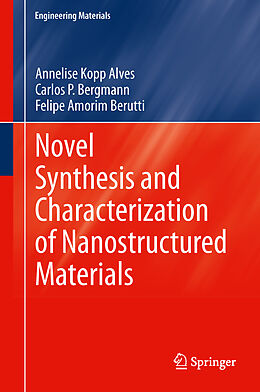 Livre Relié Novel Synthesis and Characterization of Nanostructured Materials de Annelise Kopp Alves, Felipe Amorim Berutti, Carlos P. Bergmann