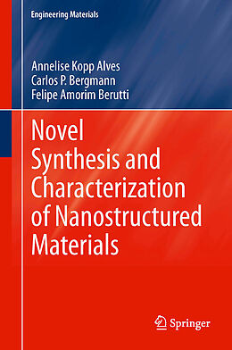 eBook (pdf) Novel Synthesis and Characterization of Nanostructured Materials de Annelise Kopp Alves, Carlos P. Bergmann, Felipe Amorim Berutti
