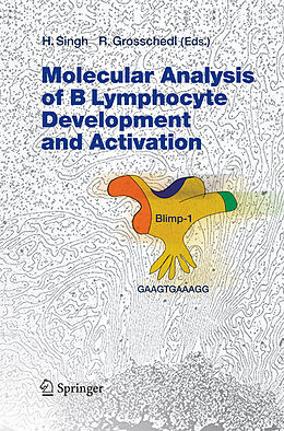 Kartonierter Einband Molecular Analysis of B Lymphocyte Development and Activation von 