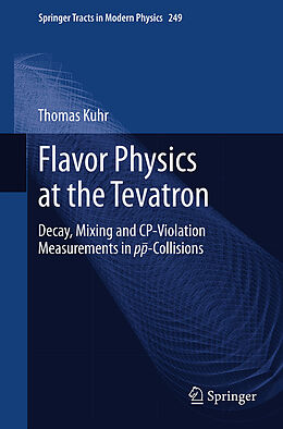 Kartonierter Einband Flavor Physics at the Tevatron von Thomas Kuhr