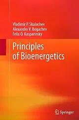 Kartonierter Einband (Kt) Principles of Bioenergetics von Vladimir P. Skulachev, Alexander V. Bogachev, Felix O. Kasparinsky