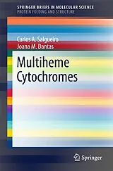 Kartonierter Einband Multiheme Cytochromes von Carlos A. Salgueiro, Joana M. Dantas