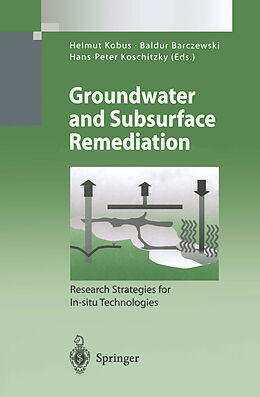 eBook (pdf) Groundwater and Subsurface Remediation de 