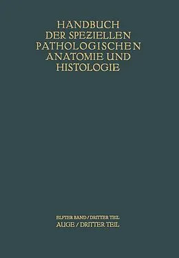 E-Book (pdf) Auge von G. Abelsdorff, A. Elschnig, S. Ginsberg