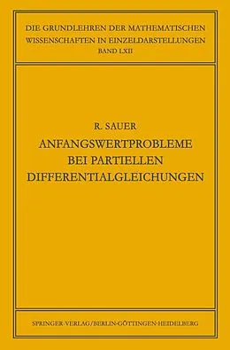 E-Book (pdf) Anfangswertprobleme bei Partiellen Differentialgleichungen von Robert Sauer
