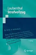 E-Book (pdf) Strafvollzug von Klaus Laubenthal