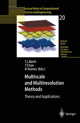 E-Book (pdf) Multiscale and Multiresolution Methods von 