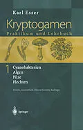 E-Book (pdf) Kryptogamen 1 von Karl Esser