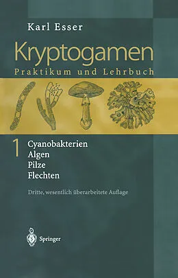 E-Book (pdf) Kryptogamen 1 von Karl Esser