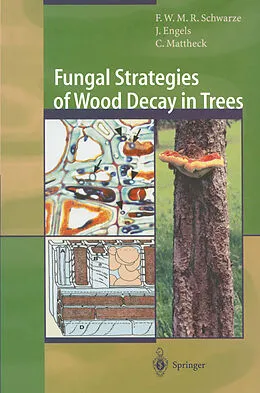 E-Book (pdf) Fungal Strategies of Wood Decay in Trees von Francis W. M. R. Schwarze, Julia Engels, Claus Mattheck