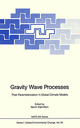 eBook (pdf) Gravity Wave Processes de 