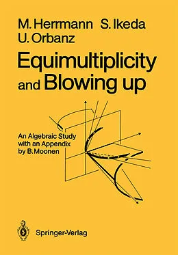 E-Book (pdf) Equimultiplicity and Blowing Up von Manfred Herrmann, Shin Ikeda, Ulrich Orbanz
