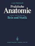 E-Book (pdf) Bein und Statik von Johannes Lang, W. Wachsmuth