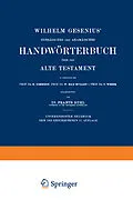 E-Book (pdf) Wilhelm Gesenius Hebräisches und Aramäisches Handwörterbuch über das Alte Testament von Frants Buhl