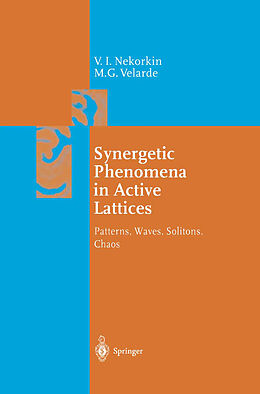 Couverture cartonnée Synergetic Phenomena in Active Lattices de M. G. Velarde, Vladimir I. Nekorkin