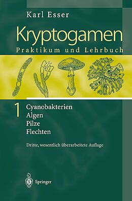 Kartonierter Einband Kryptogamen 1 von Karl Esser