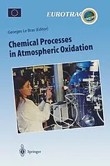 Kartonierter Einband Chemical Processes in Atmospheric Oxidation von 