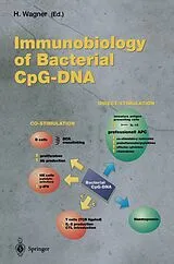 Kartonierter Einband (Kt) Immunobiology of Bacterial CpG-DNA von